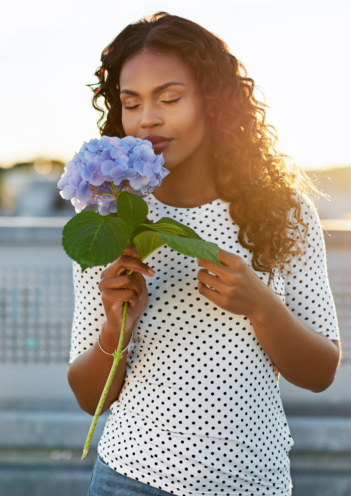 Essential Oil Fragrance Notes - A Note from Vanilla Blanc!
