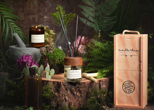 How to Choose a Reed Diffuser — A UK Guide to Natural Home Fragrance